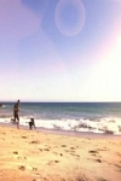 Lucky Dog S07E19 Maya 480p x264-mSD [eztv]
