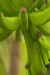 Food Unwrapped S19E02 480p x264-mSD EZTV