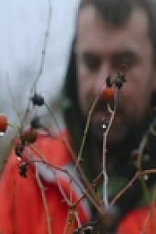 Chefs vs Wild S01E07 480p x264-mSD EZTV