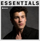 Shawn Mendes – Essentials (2018) 320 KBPS