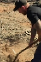 Aussie Gold Hunters S05E09 WEB H264-DENTiST EZTV
