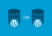 [ FreeCourseWeb ] The Complete Guide to Migrating WordPress