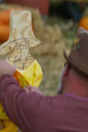 Outrageous Pumpkins S05E05 480p x264-mSD EZTV