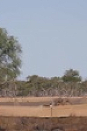Outback Ringer S02E05 XviD-AFG EZTV
