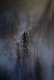 Life Below Zero First Alaskans S01E03 480p x264-mSD EZTV