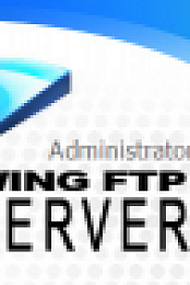 Wing FTP Server Corporate v6.0.9 Multi-[WEB]