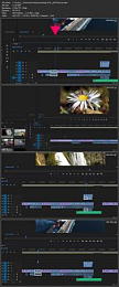 [ DevCourseWeb ] Quick Video Editing with Adobe Premiere Pro CC (12 - 2020)
