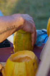 Outrageous Pumpkins S05E01 480p x264-mSD EZTV