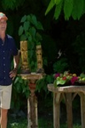 Survivor S41E03 480p x264-mSD EZTV