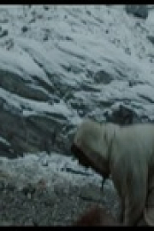 The North Water S01E04 480p x264-mSD EZTV