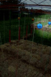 Buddy Games S01E01 XviD-AFG EZTV