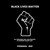 VA - BLACK LIVES MATTER COMPILATION (2020) Mp3 320kbps [PMEDIA] ️