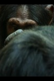 Chimp Empire S01E01 480p x264-mSD EZTV