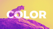[ FreeCourseWeb ] Skillshare - Creative Color with Photoshop