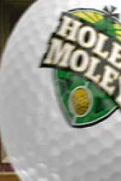 Holey Moley S04E08 480p x264-mSD EZTV