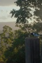 Back To Nature S01E01 XviD-AFG EZTV