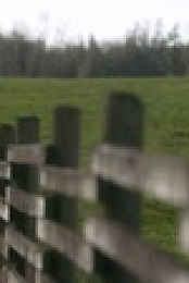 Home Before Dark S02E03 XviD-AFG EZTV