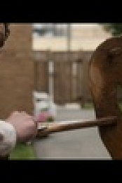 FUBAR S01E05 720p WEB h264-EDITH EZTV