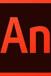 Adobe Animate CC 2019 19.1.0.349 RePack [KolomPC]
