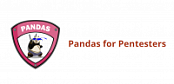 PentesterAcademy | Pandas for Pentesters [FCO]