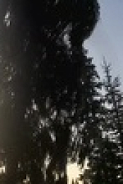 The Proof Is Out There S03E15 720p WEB h264-EDITH EZTV