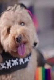 Barkley Manor S01E04 480p x264-mSD EZTV