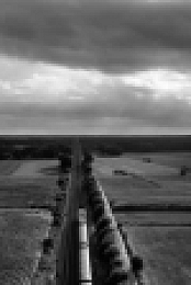 RIPLEY S01E01 XviD-AFG EZTV