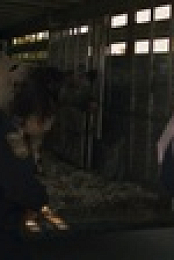 Moonshine S03E07 1080p WEBRip x264-BAE EZTV