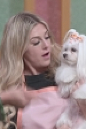 Haute Dog S01E08 720p WEB h264-KOGi EZTV