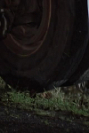 Highway Thru Hell S12E06 480p x264-mSD EZTV