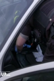 All New Traffic Cops S05E16 480p x264-mSD [eztv]