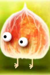 Botanicula [Apk Multilang] [TnT Village]