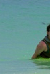 Survivor S42E03 720p WEB h264-KOGi EZTV
