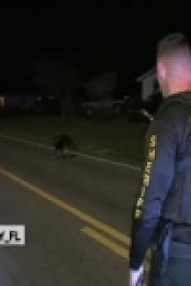 Live PD S03E40 480p x264-mSD [eztv]