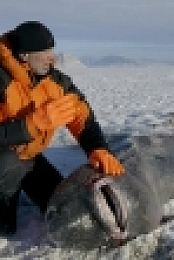 River Monsters S09E02 iNTERNAL 720p HDTV x264-DHD[eztv]