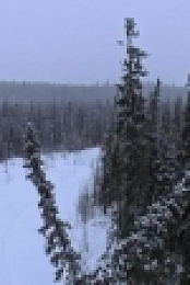 Mountain Men S07E09 WEB h264-TBS[eztv]