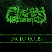 Flesh Incineration (2016) Inglorious MP3 [320] {PsychoMuzik}⚡