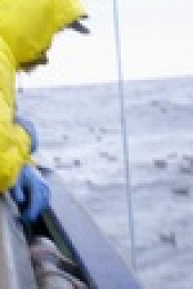 Deadliest Catch S18E11 720p WEB h264-BAE EZTV