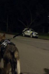 Dog Squad S13E05 480p x264-mSD EZTV