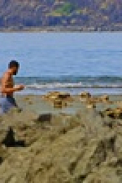 Survivor S43E09 720p WEB h264-KOGi EZTV
