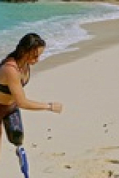 Survivor S43E01 720p WEB h264-KOGi EZTV
