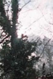 Landscapers S01E04 720p WEB h264-KOGi EZTV