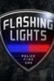 Flashing Lights - Police, Firefighting, Emergency Services Simulator v21.12.2020