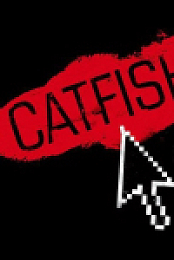 Catfish 2010 1080p BluRay h266-MVGroup