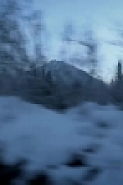 Life Below Zero S09E04 720p HDTV x264-DHD[eztv]