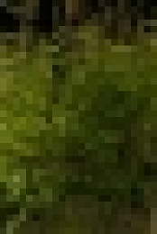 Love Your Garden S08E01 WEB x264-KOMPOST[TGx]