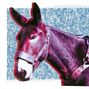 Protomartyr - Ultimate Success Today (2020) [320 KBPS]