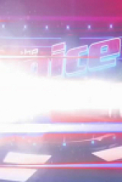 The Voice S24E23 480p x264-mSD EZTV