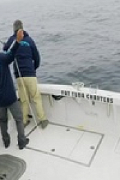 Wicked Tuna S10E13 480p x264-mSD EZTV