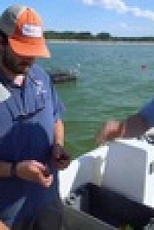 Chefs AField Good Catch S01E03 XviD-AFG EZTV